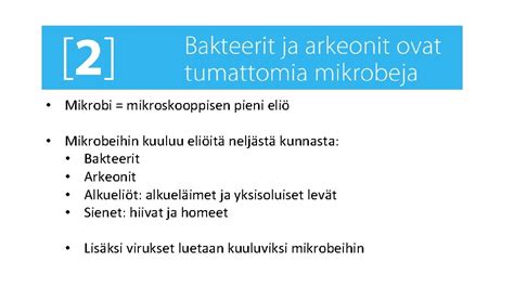  Kissaneliäinen:  Entä jos tämän mikroskooppisen uimapurajan elämä koostuisi pelkästään ruuan etsimisestä ja patogeenisten bakteerien väistämisestä?